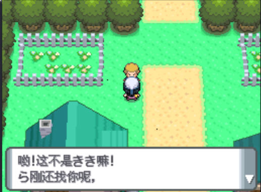 口袋妖怪:珍珠中文硬盘版截图2