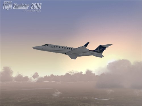 ģ�����2004(Flight Simulator 2004: A Century of Flight) Ӣ���ⰲװ���ͼ2