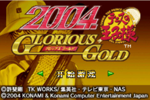 网球王子2004光荣之金硬盘版截图0