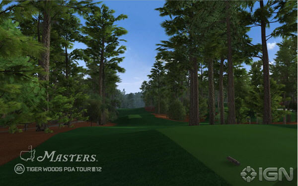 �ϻ�����12:����������(Tiger Woods PGA TOUR 12 The Masters)����Ӳ�̰��ͼ3