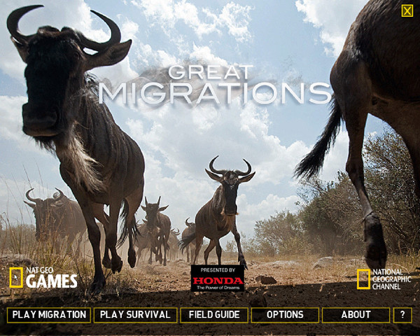 �����Ǩͽ(Great Migrations)Ӣ��Ӳ�̰��ͼ3