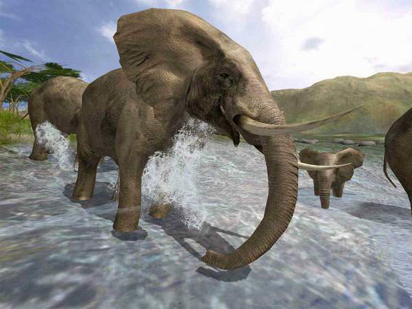 ��Ұ��½(Safari Photo Africa Wild Earth)Ӣ��Ӳ�̰��ͼ0