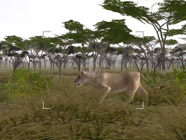 ��Ұ��½(Safari Photo Africa Wild Earth)Ӣ��Ӳ�̰��ͼ3