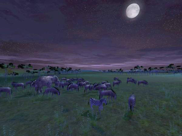 ��Ұ��½(Safari Photo Africa Wild Earth)Ӣ��Ӳ�̰��ͼ4