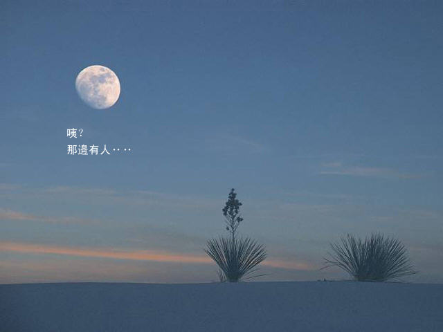 �¹�������(moon night music)�������İ��ͼ0