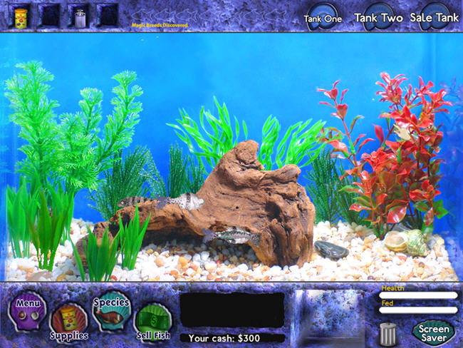 ������(fish)��ɫ�ƽ���ͼ1