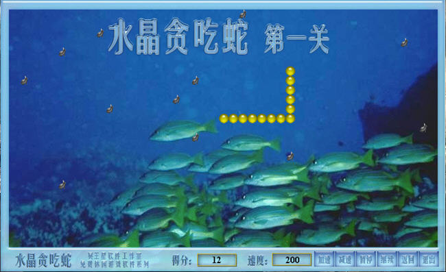 ˮ��̰����(shuijing)��ɫӲ�̰��ͼ1