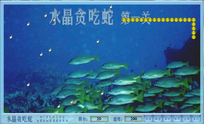 ˮ��̰����(shuijing)��ɫӲ�̰��ͼ2