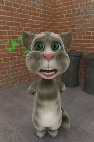 会说话的汤姆猫电脑版截图1