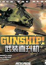 ��װֱ����(Gunship)