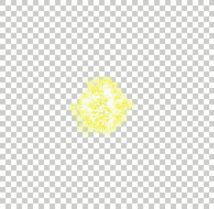 12.gif