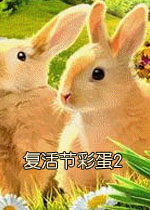 ����ڲʵ�2