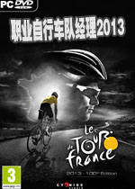ְҵ���г��Ӿ���2013