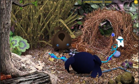 ��ñС���˽�ͼ2