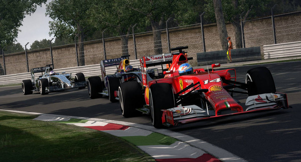 F1 2014�����ƽⲹ��