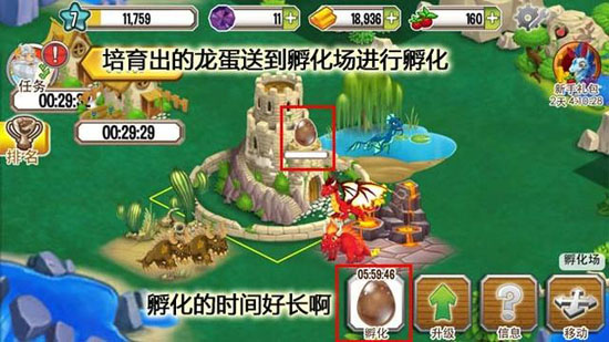 DragonCity(����)v3.0��ͼ4