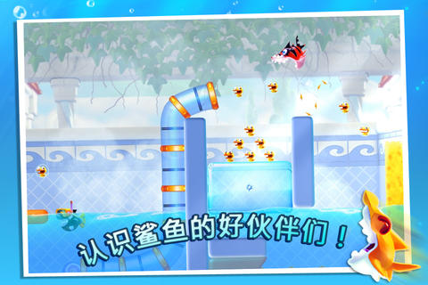 Shark Dash(������ǰ��)��׿��v1.1.0w��ͼ4