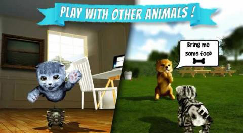 CatSimulator(ģ��è��)v1.0.7��ͼ1