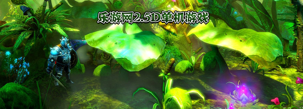 2.5d������Ϸ