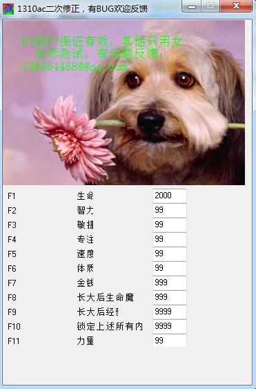 �ػ���Ӣ�۾����޸���+11