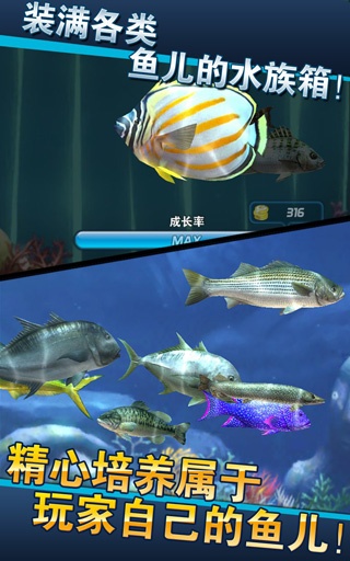 钓鱼发烧友(ace fishing)安卓版截图2