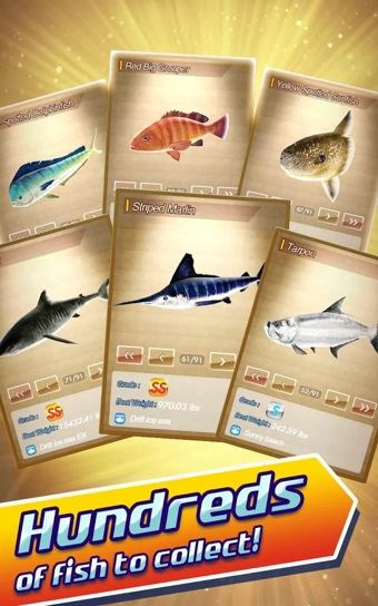 RF2014(��ʵ����2014)��ͼ1