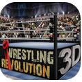WR Pay-Per-View(ˤ�Ӹ���3D)