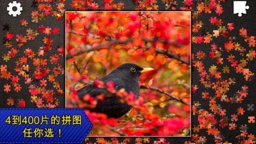 Jigsaw Puzzle Epic(ʷʫƴͼ)v1.0.9��ͼ2