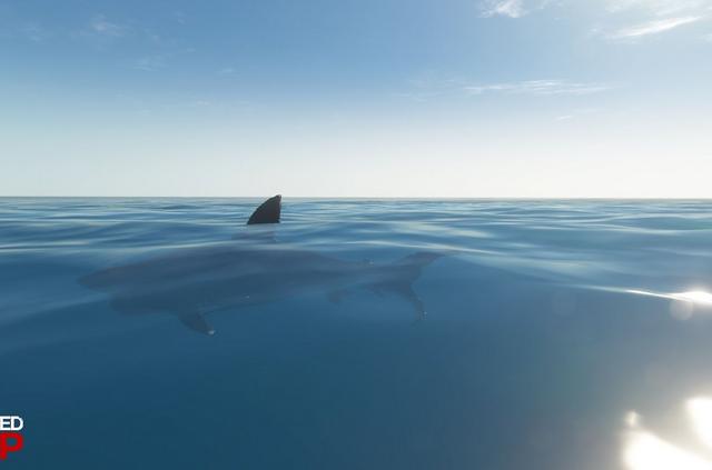 �ĵ������ḻ���ϳ�ʼ�浵