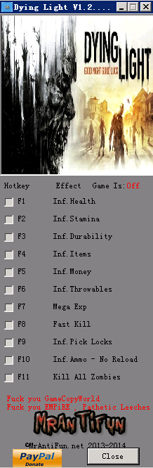 ���ŵĹ�â�޸���+12