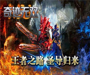 奇迹无双官方版截图0