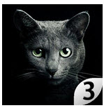 ��è3���������޸İ�