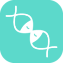 ����APP