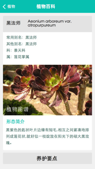 盆友手机软件截图3