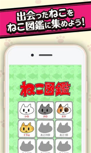 猫咪堆安卓汉化版截图2