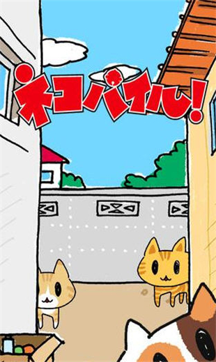 猫咪堆安卓汉化版截图0