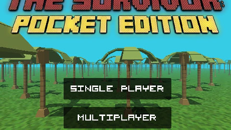 �Ҵ���:���人����׿��(The Survivor: Pocket Edition)��ͼ0