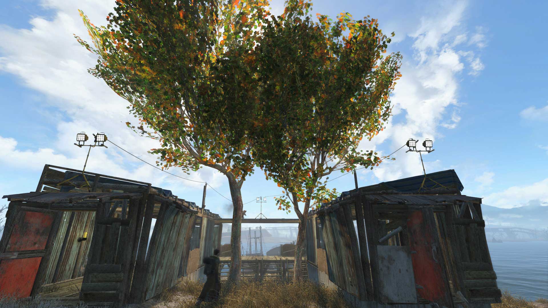 辐射4可种植的树MOD截图1