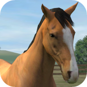 My Horse(�ҵ�����)
