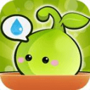 Plant Nanny(ֲ�ﱣķ)