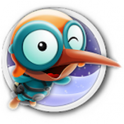 Kiwi Wonderland(��ά�ɾ�)
