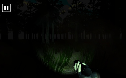Escape From The Slender Man(无脸男 第一人称恐怖冒险)截图1