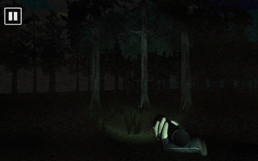 Escape From The Slender Man(无脸男 第一人称恐怖冒险)截图3