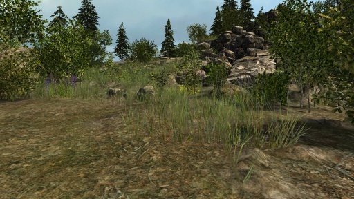 Survival Time: Forest(Ұ������:���� 3Dɳ������)��ͼ0