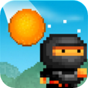 8bitninja(��������)