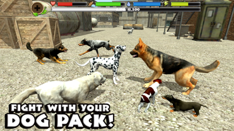 Stray Dog Sim(���˹�ģ����)v1.4��׿���ͼ0