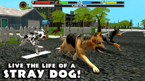 Stray Dog Sim(���˹�ģ����)v1.4��׿���ͼ1