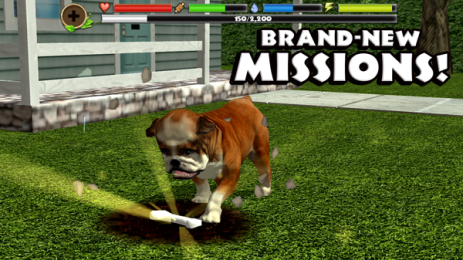 Stray Dog Sim(���˹�ģ����)v1.4��׿���ͼ3