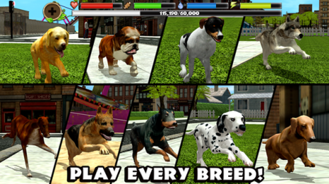 Stray Dog Sim(���˹�ģ����)v1.4��׿���ͼ4