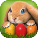 PetWorld LITE(��������3D:�ҵĶ����Ԯ)